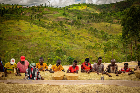 THE SOKO DIFFERENCE - BURUNDI COFFEE