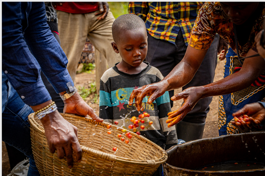 How Your Morning Cup of Soko Coffee Fuels Futures in Burundi